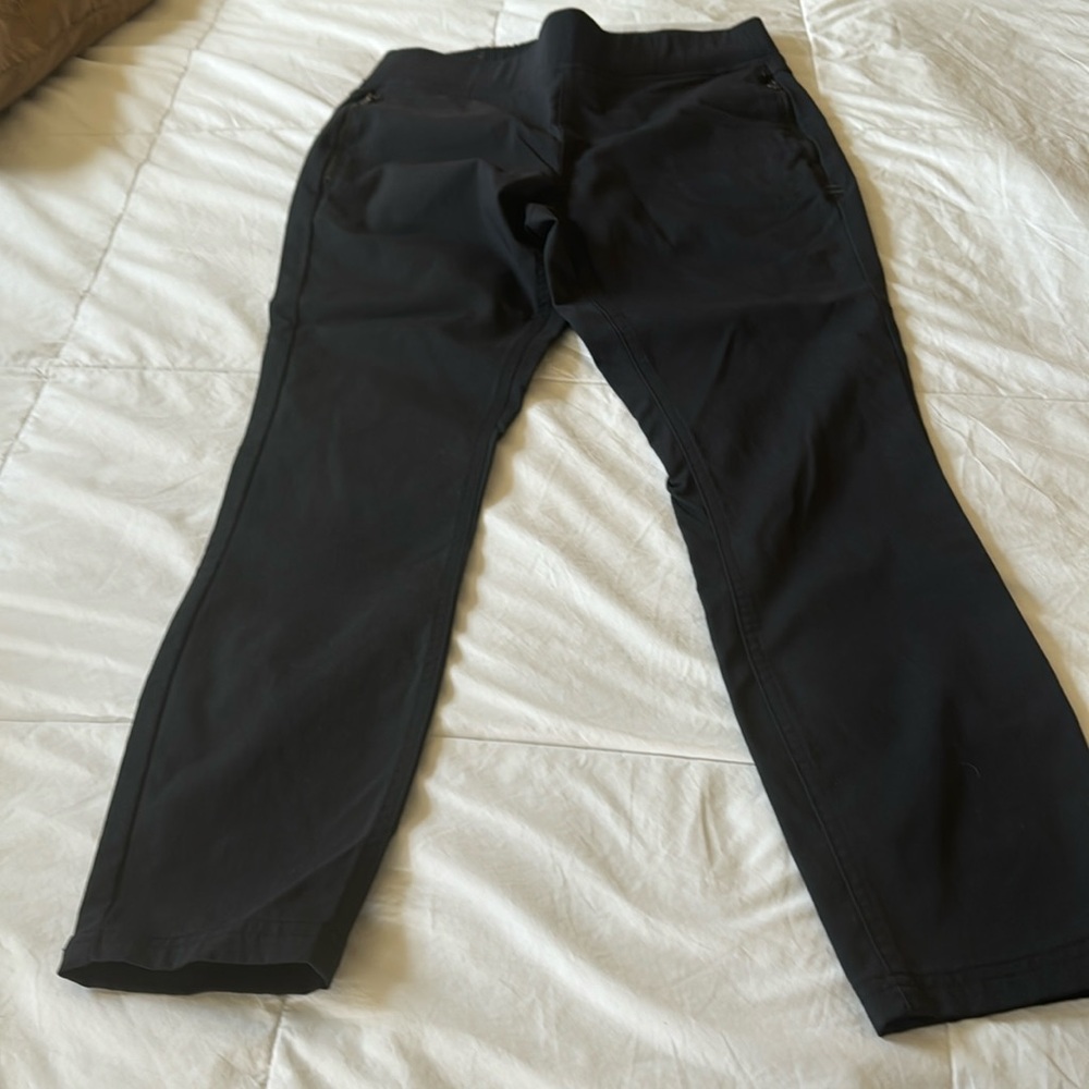 Toad & Co size 10 pants